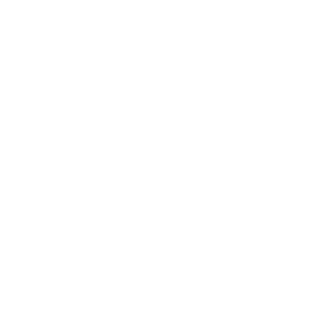 CCE White Logo x